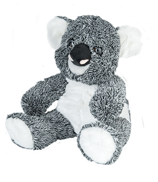 "Kevin" the Koala